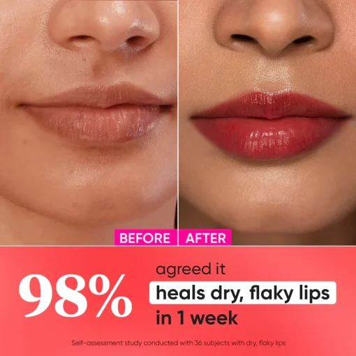 Dot & Key Barrier Repair Ceramide & Peptide Lip Balm - Red Romance (10g)