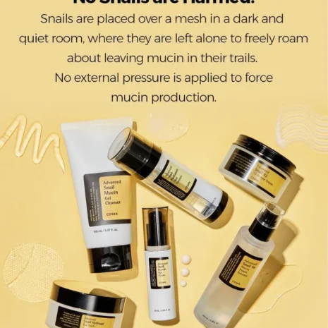 snail escense-10 snail escense-10