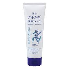 Reihaku Hatomugi The Facial Foam