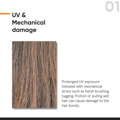 Minimalist 05% Maleic Bond Repair Complex Hair Serum (50ml) - Image 5