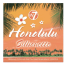 W7 Honolulu Silhouette Bronze and Contour Palette bronzer