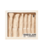 Sheglam Pro Core Brush Kit