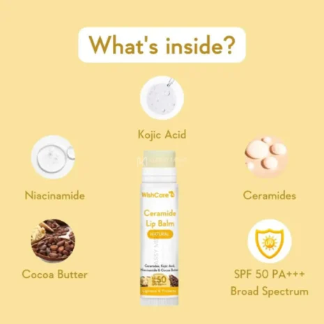 WishCare-Ceramide-Untinted-Lip-Balm-with-SPF-50-PA+++-5g-26d2-products (1) WishCare-Ceramide-Untinted-Lip-Balm-with-SPF-50-PA+++-5g-26d2-products (1)