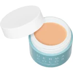 KRYOLAN DERMACOLOR CAMOUFLAGE CREME