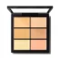 Studio-Fix-Conceal-And-Correct-Palette-LightMedium.jpg (1)