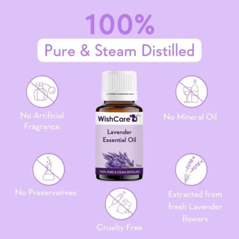 0SHVui16SXSnRVEa4PGSzD72sLcVslWRa8E870dM 0SHVui16SXSnRVEa4PGSzD72sLcVslWRa8E870dM