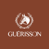 Guerisson