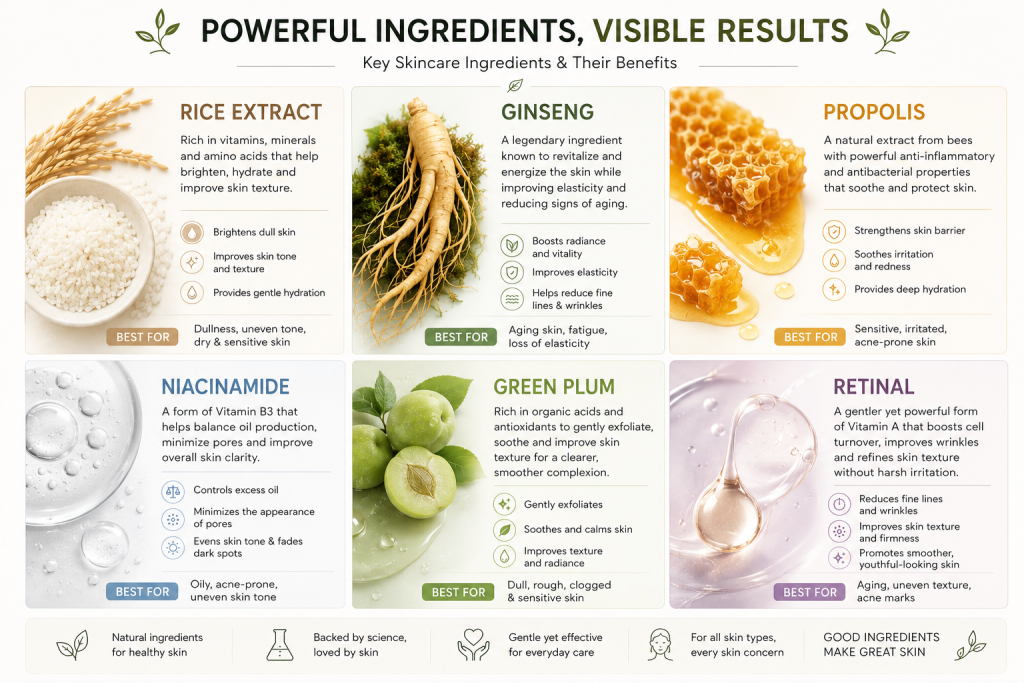  Best Beauty of Joseon ingredients Rice Ginseng Propolis Niacinamide 